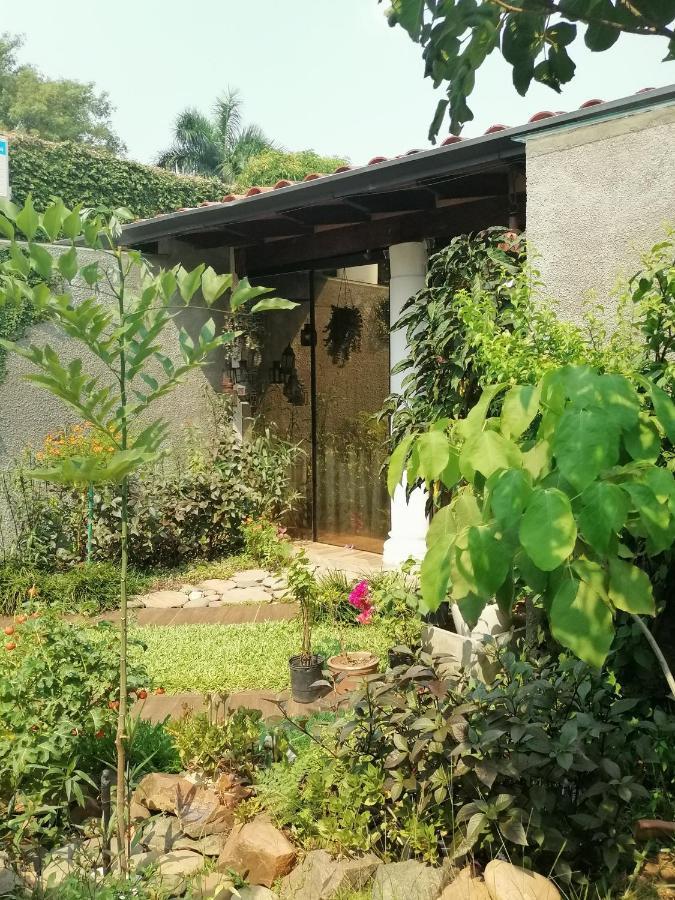 Granados Bed & Breakfast Asuncion Luaran gambar