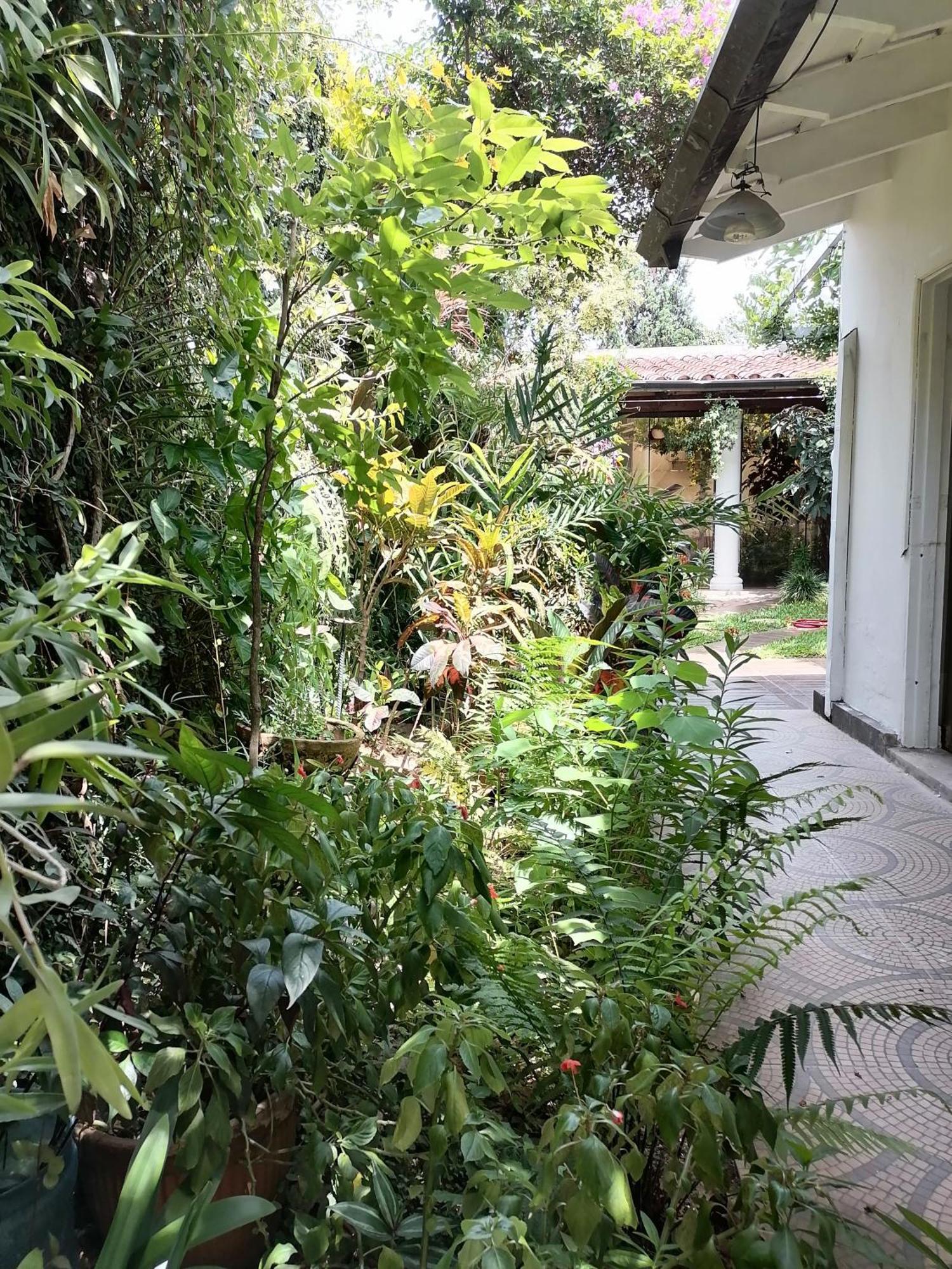 Granados Bed & Breakfast Asuncion Luaran gambar