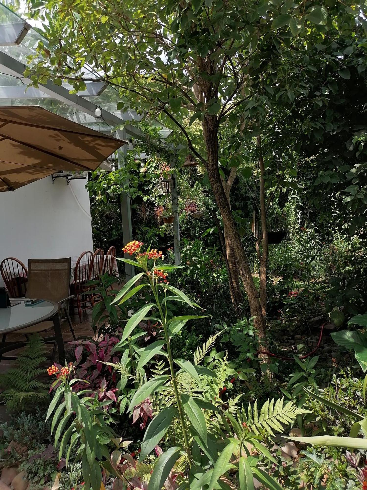Granados Bed & Breakfast Asuncion Luaran gambar