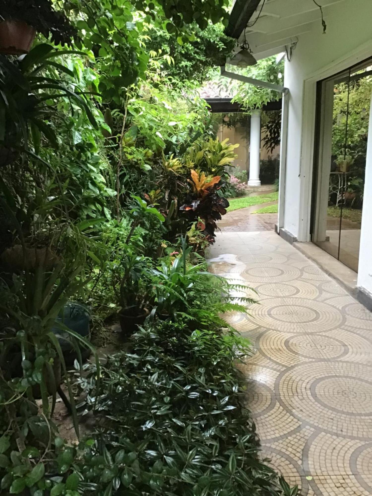 Granados Bed & Breakfast Asuncion Luaran gambar