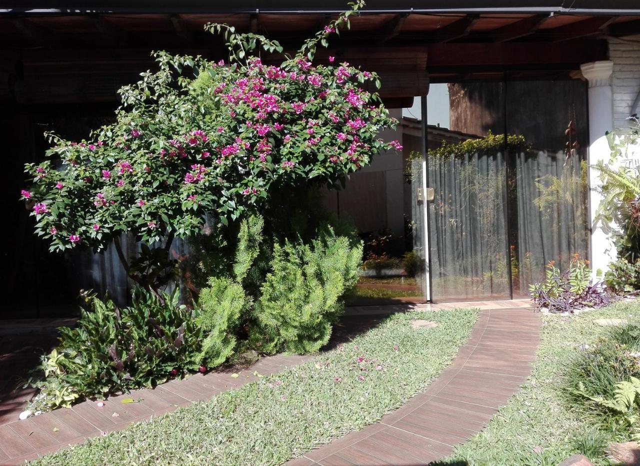 Granados Bed & Breakfast Asuncion Luaran gambar
